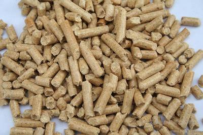 遼陽生物質顆粒燃料丨遼陽生物質顆粒丨遼陽生物質環保燃料