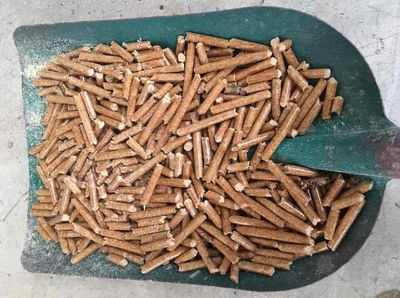 濟南山東萊蕪生物質燃料挑戰傳統.