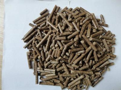 浙江生物質燃料價格