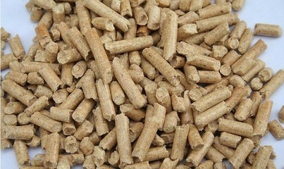 江蘇淮安金湖綠蔭能源_主營韓國出口標準,純木質(zhì)生物質(zhì)顆粒燃料,100%純木質(zhì)顆粒_位于江蘇省淮安市
