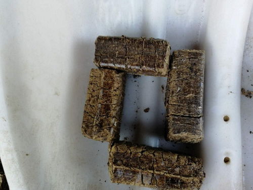 生物質顆粒燃料鍋爐報價 廠家