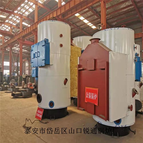 反應(yīng)釜配套鍋爐 大型工業(yè)用生物質(zhì)蒸汽鍋爐