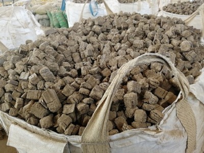 山東濟寧生物質電廠燃料-蘇州資訊