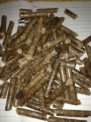 供應河源生物質顆粒商家,工廠鍋爐用那種燃料顆粒