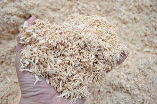解析生物質(zhì)顆粒燃料的四大誤區(qū)