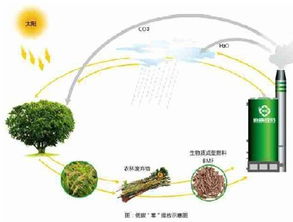 威孚 什么是生物質顆粒燃料及其特點