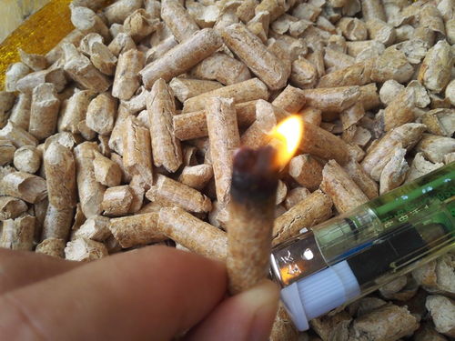 生物質(zhì)燃料熱值報價 廠家
