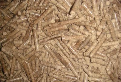 上海嘉定生物質(zhì)燃料-上海事強(qiáng)實(shí)業(yè)