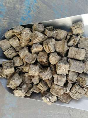 河南周口環(huán)保鍋爐燃料厲害了我的哥