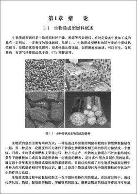 生物質成型燃料技術與工程化/張百良-圖書-亞馬遜