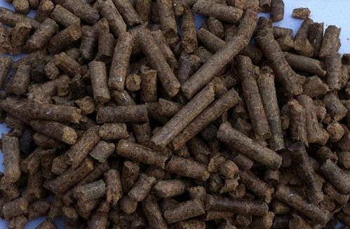 牛糞做生物質燃料顆粒,養牛戶又一增收來源