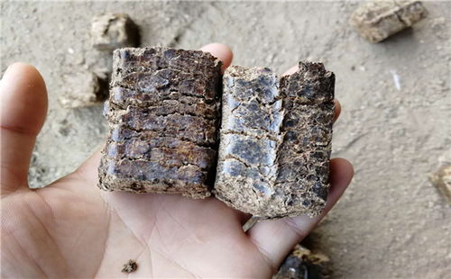 生物質顆粒燃料鍋爐報價 廠家