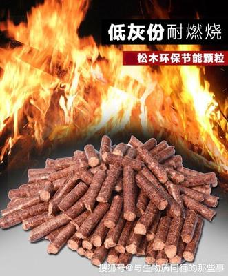 一、生物質松木顆粒燃料是什么?