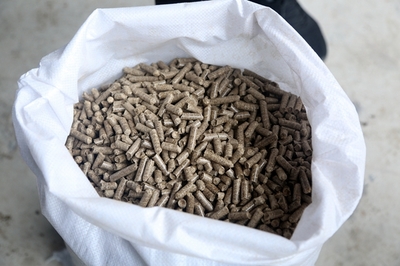 變廢為寶 延吉市三峰村生物質(zhì)顆粒燃料項目正式投產(chǎn)