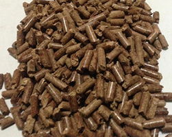 聯(lián)系我們 騰飛生物質(zhì)燃料