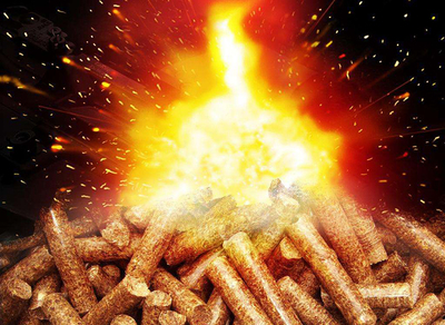 聚焦兩會(huì)|2020,生物質(zhì)顆粒燃料行業(yè)的生存前景