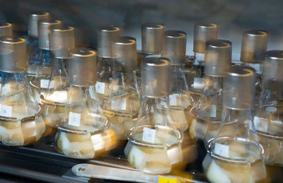 科技資訊 | 四川生物燃料顆粒是替代能源新藍(lán)海?