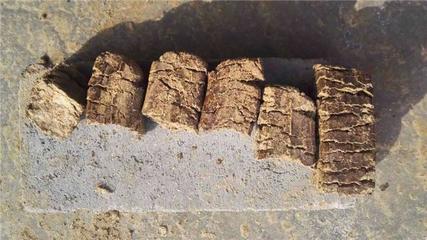 環(huán)保局規(guī)定能使用花生殼生物質(zhì)壓塊燃料嗎