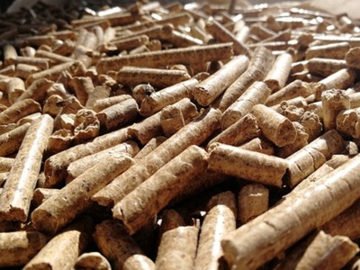 定西成型生物質燃料與國家政策 機遇、挑戰與發展前景