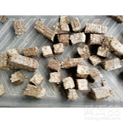 隨州生物質燃料價格解析 熱值4200大卡的燃料特性與市場趨勢