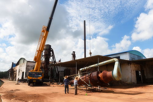 雷州生物質燃料顆粒廠即將投產，助推綠色能源發(fā)展